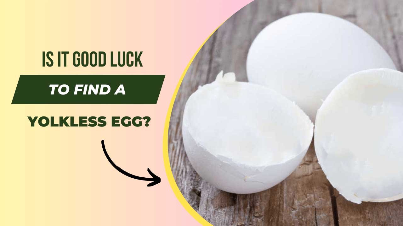 Foods Good Luck - Good Luck Info