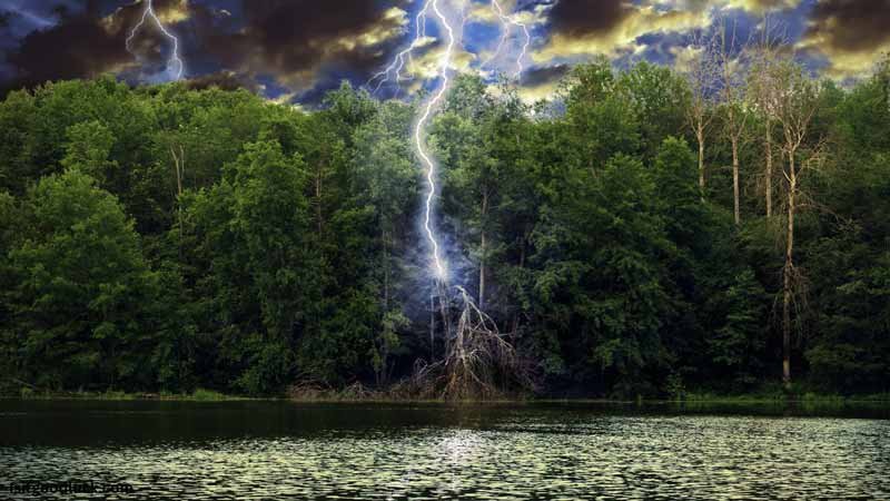 Is it Good Luck for Lightning to Strike a Tree