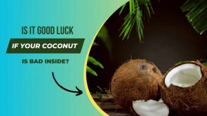 Is it Good Luck if Your Coconut is Bad Inside