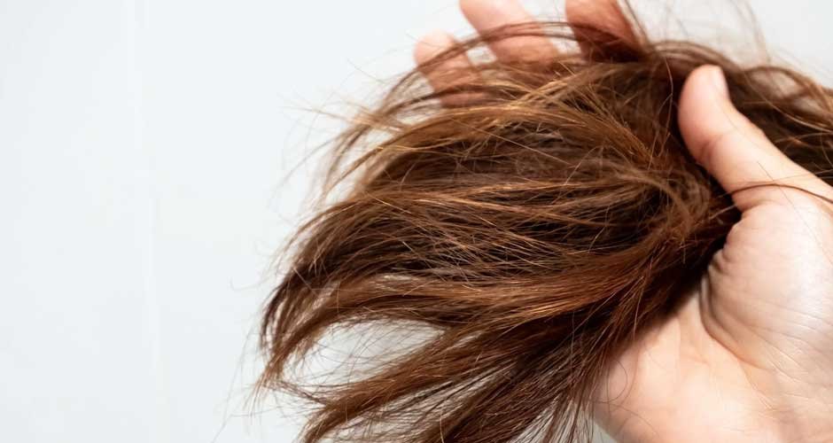 How to Care for Your Hair Without Breaking the Bank