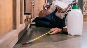 The Top 4 Signs Your Vacant House Needs Pest Control Immediately