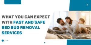 What You Can Expect With Fast and Safe Bed Bug Removal Services