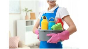 Find Great Cleaning Services in Tampa FL