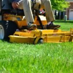 The Guide to Lawn Insect Control