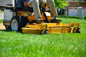 The Guide to Lawn Insect Control