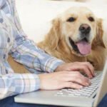 How Pet Owners Can Choose the Right Insurance Policy for Their Needs