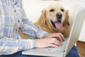 How Pet Owners Can Choose the Right Insurance Policy for Their Needs