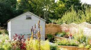 Low-Maintenance-Tips-for-Healthy-Gardens