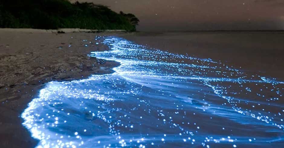 What-are-some-of-the-best-rare-natural-phenomena-that-occur-on-Earth