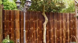 Top 6 Innovative Gate and Fence Designs for Modern Homes