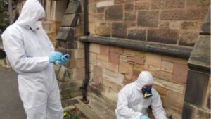 What to Expect During a Professional Asbestos Survey