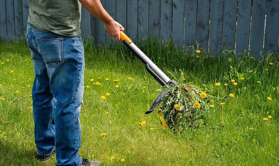 7 Reasons Landscaping Companies Can Offer Better Weed Control Services