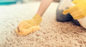 Seasonal-Care-Tips-for-a-White-Rug-Keeping-Them-Fresh-Year-Round