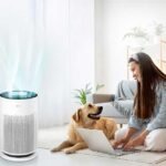 The Role of Air Purifiers in Enhancing Indoor Air Quality