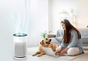 The Role of Air Purifiers in Enhancing Indoor Air Quality